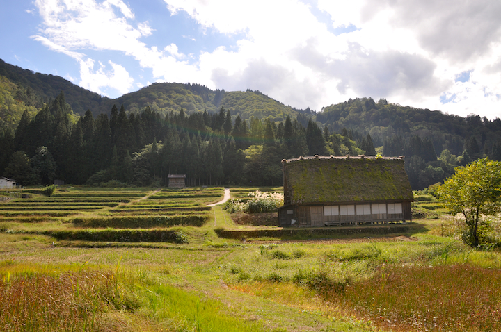 Casa gassho-zukuri